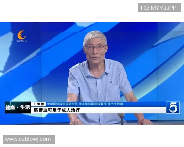王磊畅谈王者荣耀发展历程与未来展望的深度专访回顾
